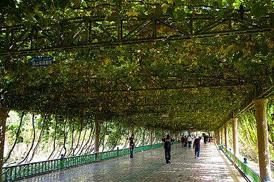 RPG《Project Solaris》Steam页面开放 不支持中文